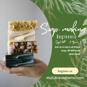 Beginner Soapmaking